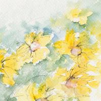 Fleurs du soleil II #IG 8575 Fleurs du soleil II #IG 8575