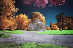 Gradignan, Glasshouse I #IG 8601 Gradignan, Glasshouse I #IG 8601