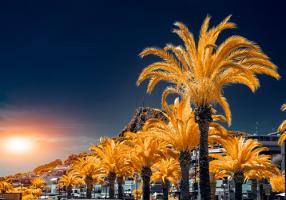 Spain #IG 8608 Spain #IG 8608
