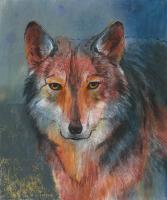 Roter Wolf #IG 8780 Roter Wolf #IG 8780