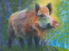 Wildschwein #IG 8831 Wildschwein #IG 8831