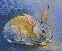 Hase I #IG 8832 Hase I #IG 8832