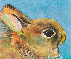 Hase II #IG 8837 Hase II #IG 8837