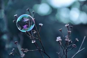 Fragile Perle #IG 8857 Fragile Perle #IG 8857
