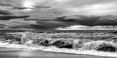 Storm II #IG 8909 Storm II #IG 8909