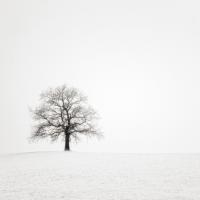 Wintersturm II #IG 8920 Wintersturm II #IG 8920