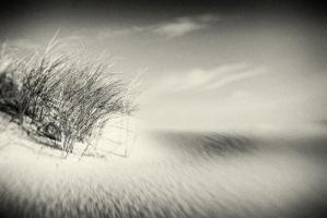 Dunes #IG 8923 Dunes #IG 8923