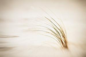 Sandsturm Part I #IG 8946 Sandsturm Part I #IG 8946