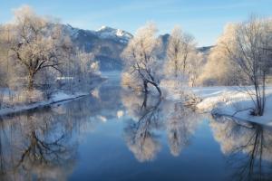 Winterland #IG 8960 Winterland #IG 8960