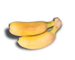 Bananas #IG 9022