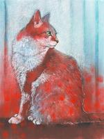 Red Cat #IG 9086 Red Cat #IG 9086