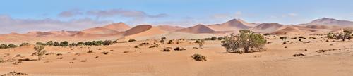 Sossusvlei Desert Namib #IG 9118