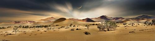 Namib Sandsea II #IG 9126 Namib Sandsea II #IG 9126