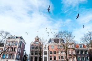 Amsterdam Reflection #IG 9206 Amsterdam Reflection #IG 9206
