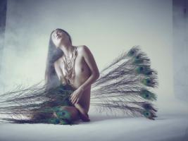 Feathers #IG 9286 Feathers #IG 9286