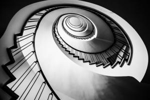 Parrot Staircase #IG 9308 Parrot Staircase #IG 9308