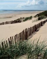 Drifting Sands #IG 9327 Drifting Sands #IG 9327