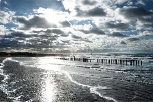 Glistening Shoreline #IG 9331 Glistening Shoreline #IG 9331