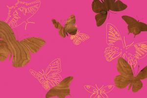 Butterflies 1 A #82308