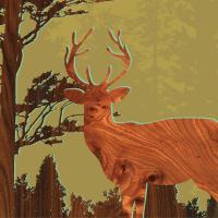 Deer 1 #87207 Deer 1 #87207