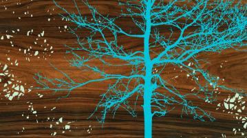 Tree #87301 Tree #87301